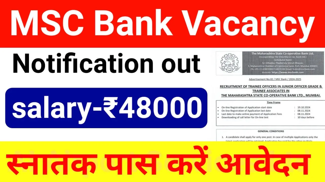 MSC Bank Recruitment 2024