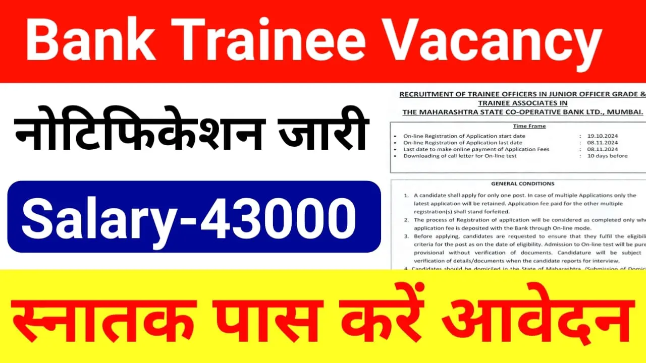 MSC Bank Trainee Recruitment 2024